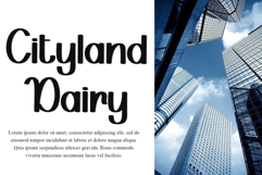 Original Handmade Product Image 6