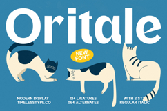 Oritale - Modern Display Font Product Image 1