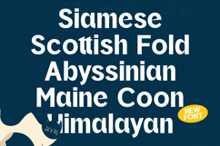 Oritale - Modern Display Font Product Image 2