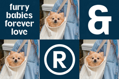 Oritale - Modern Display Font Product Image 5