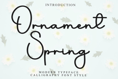 Ornament Spring Product Image 1