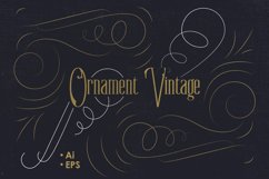 Ornament Vintage 2 Product Image 1