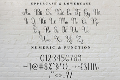 Ornament Product Image 7
