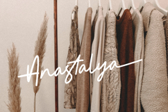 Osteno Monoline Script Font Product Image 8