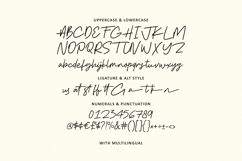 Osteno Monoline Script Font Product Image 6