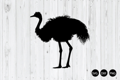 Ostrich SVG, Bird SVG, Animal SVG Product Image 1