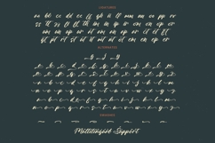 Outhlyn Funtica - Bold Handwritten Font Product Image 19