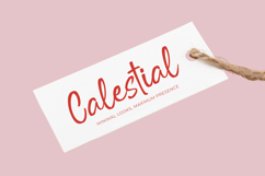 Outline Delighta  Aesthetic Handwritten Font Product Image 14