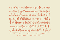 Outline Delighta  Aesthetic Handwritten Font Product Image 17