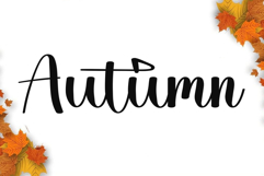 Outside Christmas Product Image 6