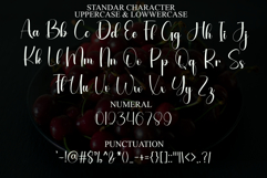 Outside Christmas Product Image 7