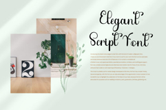 Outside Easter Product Image 5