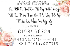 Outside Easter Product Image 3