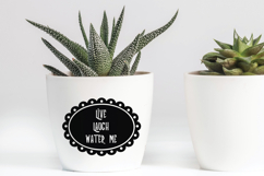 Oval Frames | Hand Drawn Border &amp; Decorative Label Product Image 8