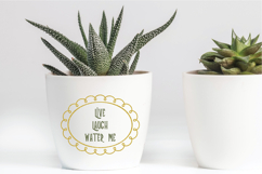 Glitter Oval Frames | Hand Drawn Border &amp; Decorative Product Image 8