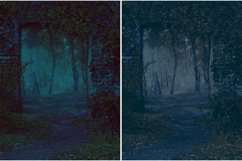 Overgrown Broken Doorway Product Image 3