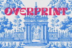 Overprint Photo Effect Product Image 1