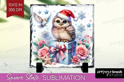 Owl Pastel Christmas Slate PNG Coquette Xmas Square Slate Product Image 1
