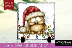 Owl Tangled In Christmas Lights Slate PNG Funny Xmas Square Product Image 1
