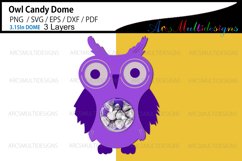 Owl Candy Dome holder Product Image 2