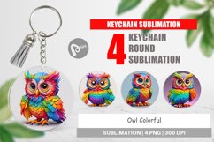 Keychain Owl Colorful Product Image 1