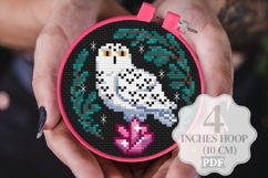 Mushroom Cross stitch pattern PDF Amanita Witchy Moon Nature Product Image 5
