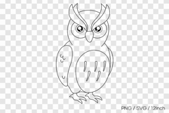 Wise forest night owl bird feather texture PNG animal illust Product Image 1