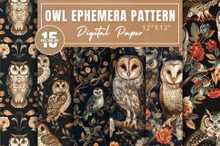 Owl Ephemera Pattern Digital Paper Bundle Product Image 1