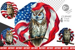 Owl 4th of July Clipart Product Image 1
