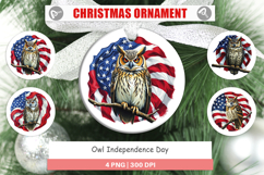 Ornament Owl 4th of July Product Image 1