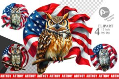 Owl 4th of July Clipart Product Image 1