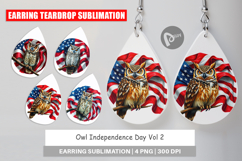 Earring Owl 4th of July Product Image 1