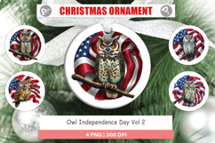 Ornament Owl 4th of July Product Image 1