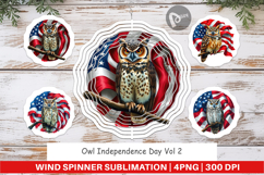 Wind Spinner Owl 4th of July Product Image 1