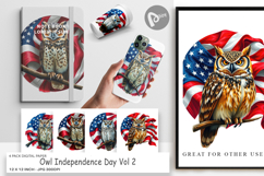 Digital Paper Owl 4th of July Product Image 1