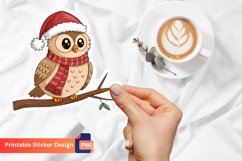 Christmas Owl Sticker, Forest Owl Sticker, Nature Owl Decal Product Image 1