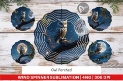 Wind Spinner Owl Perched Product Image 1