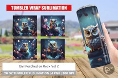 Tumbler Wrap Owl Perched on Rock Product Image 1