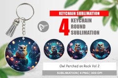 Keychain Owl Perched on Rock Product Image 1