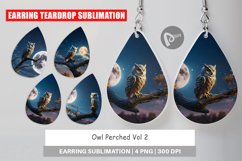 Earring Teardrop Owl Perched Product Image 1