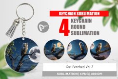 Keychain Owl Perched Product Image 1