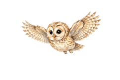 Owl Png Design |Forest Png Product Image 1