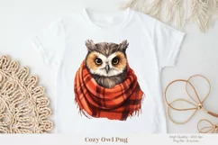 Owl Sublimation Png Fall Owl Png Cute Owl Clipart 