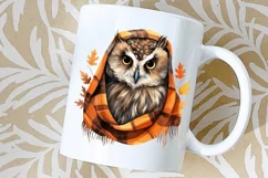 Owl Sublimation Png Fall Owl Png Cute Owl Clipart 