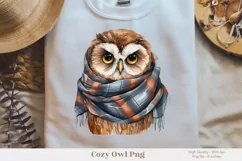 Owl Sublimation Png Fall Owl Png Cute Owl Clipart 