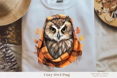 Owl Sublimation Png Fall Owl Png Cute Owl Clipart 