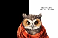 Owl Sublimation Png Fall Owl Png Cute Owl Clipart 