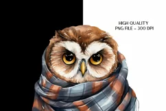 Owl Sublimation Png Fall Owl Png Cute Owl Clipart 