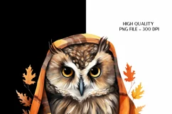 Owl Sublimation Png Fall Owl Png Cute Owl Clipart 