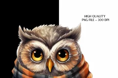 Owl Sublimation Png Fall Owl Png Cute Owl Clipart 